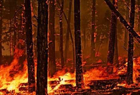 90.000 στρέμματα καήκαν στις μεγάλες φωτιές